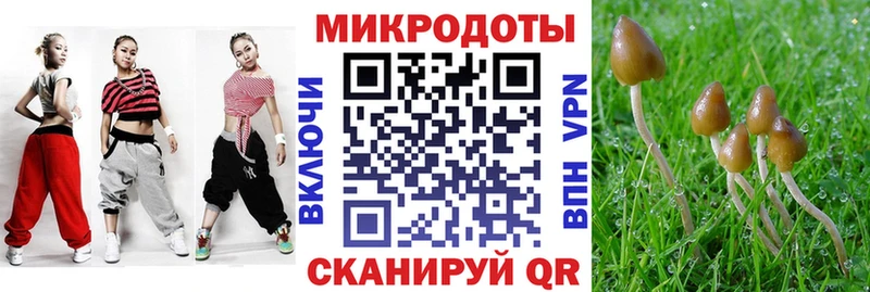 Галлюциногенные грибы MAGIC MUSHROOMS Шлиссельбург